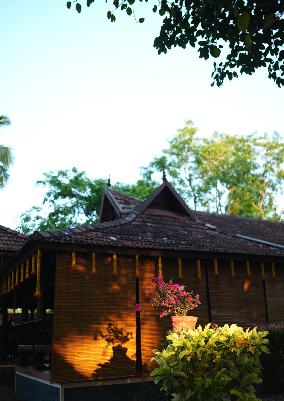 Athreya Ayurvedic Centre-View-3